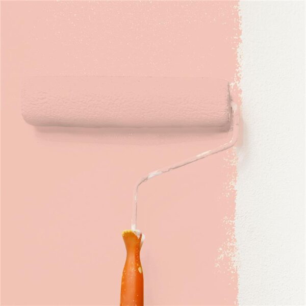 Wandfarbe Matt NCS-S-1020-Y80R WALLCOVER Colors