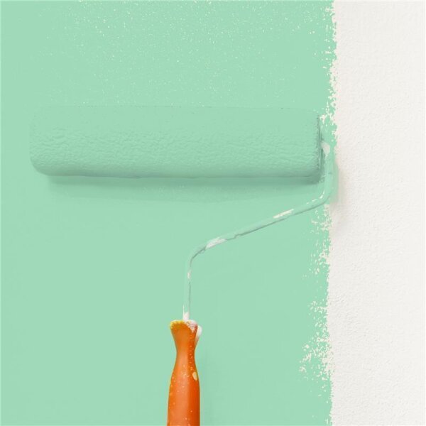 Wandfarbe Matt NCS-S-1030-G WALLCOVER Colors
