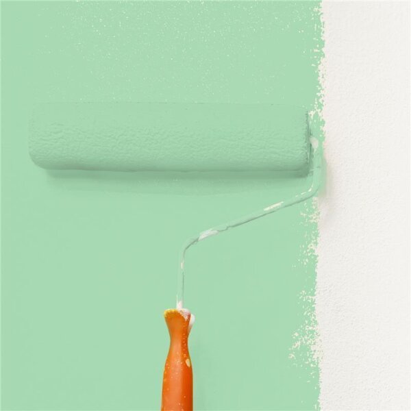Wandfarbe Matt NCS-S-1030-G10Y WALLCOVER Colors