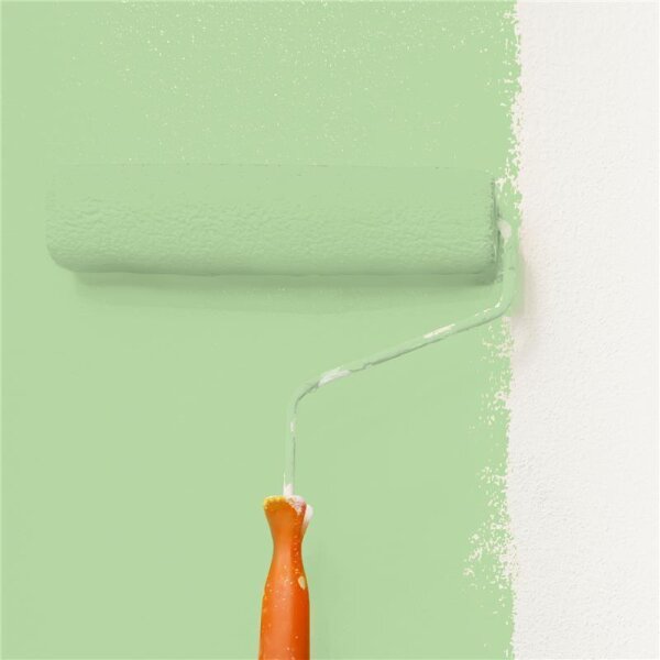 Wandfarbe Matt NCS-S-1030-G30Y WALLCOVER Colors