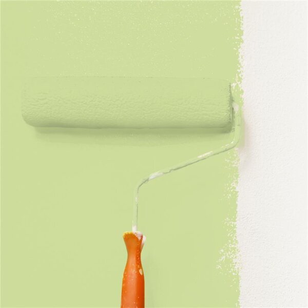 Wandfarbe Matt NCS-S-1030-G50Y WALLCOVER Colors