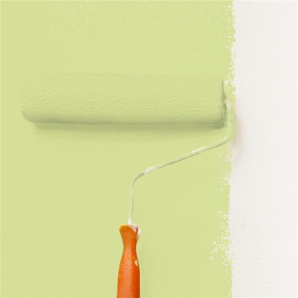 Wandfarbe Matt NCS-S-1030-G60Y WALLCOVER Colors