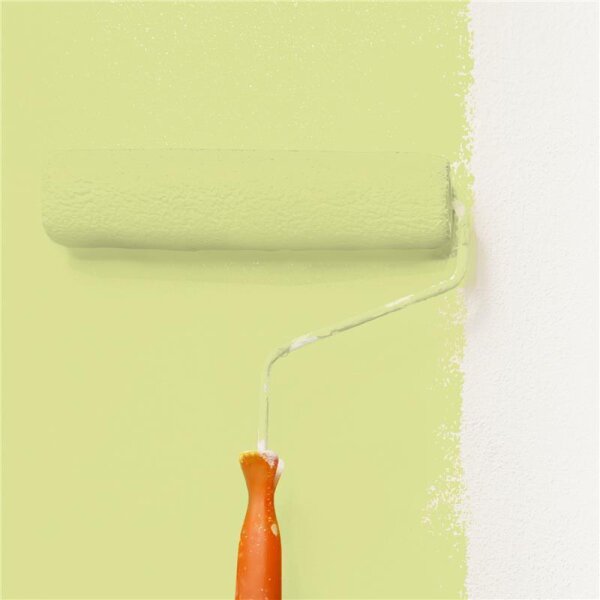 Wandfarbe Matt NCS-S-1030-G70Y WALLCOVER Colors