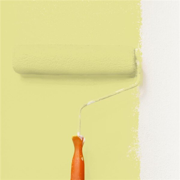Wandfarbe Matt NCS-S-1030-G80Y WALLCOVER Colors