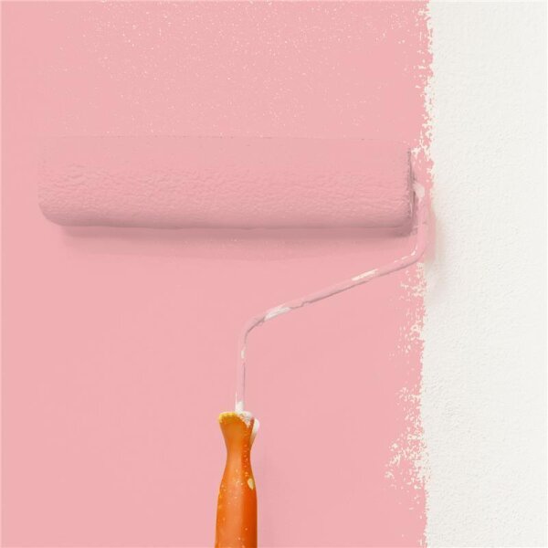 Wandfarbe Matt NCS-S-1030-R WALLCOVER Colors