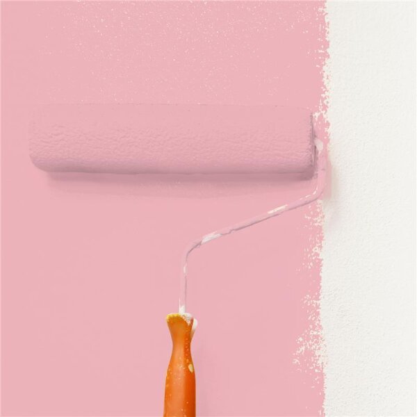 Wandfarbe Matt NCS-S-1030-R10B WALLCOVER Colors