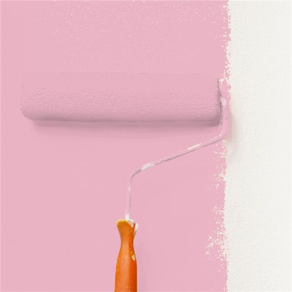 Wandfarbe Matt NCS-S-1030-R20B WALLCOVER Colors