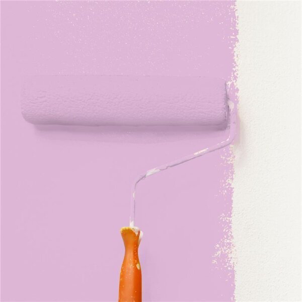 Wandfarbe Matt NCS-S-1030-R40B WALLCOVER Colors
