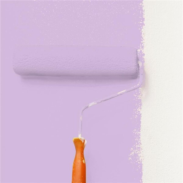 Wandfarbe Matt NCS-S-1030-R50B WALLCOVER Colors