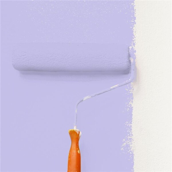 Wandfarbe Matt NCS-S-1030-R60B WALLCOVER Colors