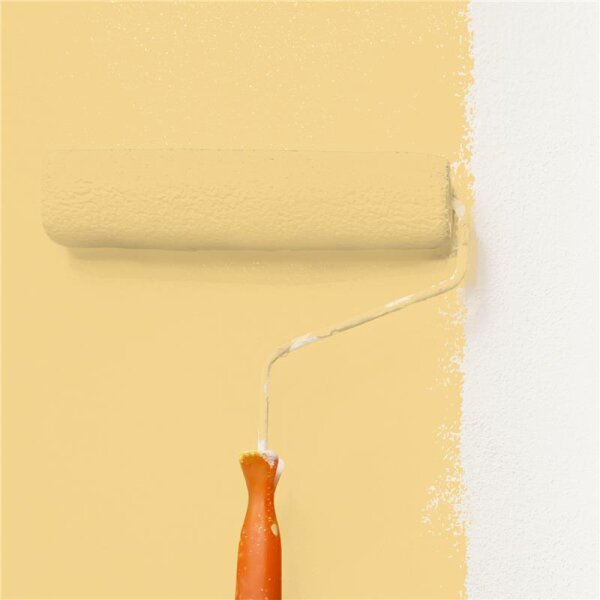 Wandfarbe Matt NCS-S-1030-Y10R WALLCOVER Colors