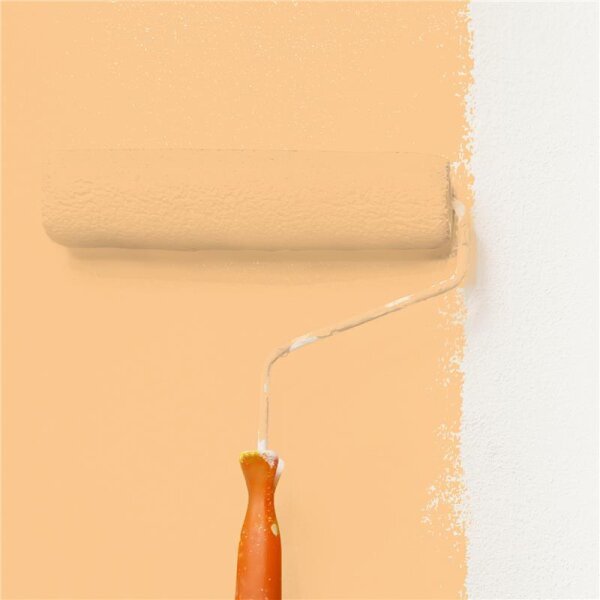 Wandfarbe Matt NCS-S-1030-Y30R WALLCOVER Colors