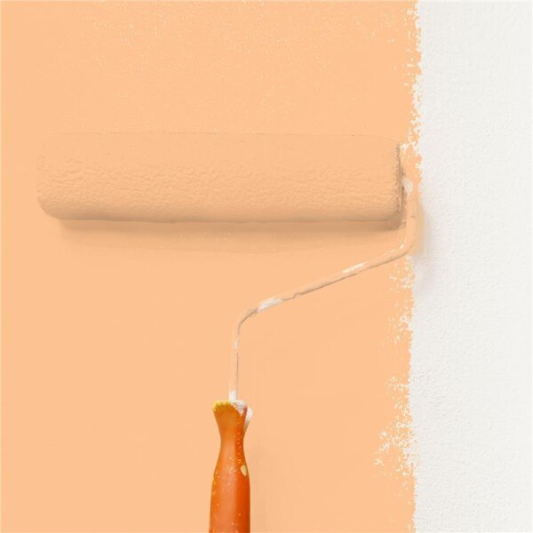 Wandfarbe Matt NCS-S-1030-Y40R WALLCOVER Colors