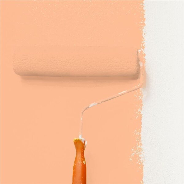 Wandfarbe Matt NCS-S-1030-Y50R WALLCOVER Colors