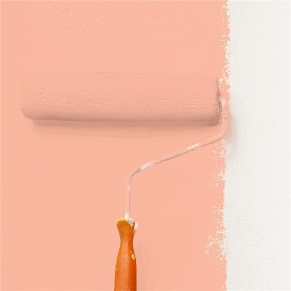 Wandfarbe Matt NCS-S-1030-Y70R WALLCOVER Colors