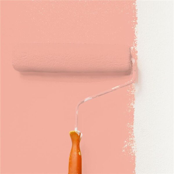 Wandfarbe Matt NCS-S-1030-Y80R WALLCOVER Colors