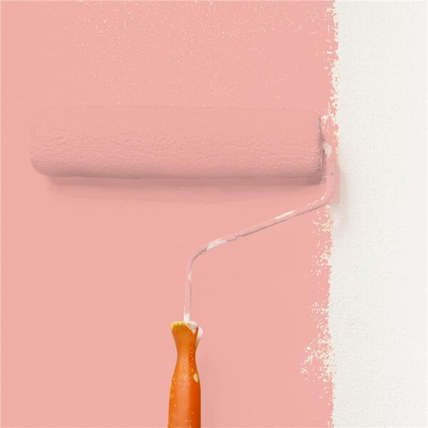 Wandfarbe Matt NCS-S-1030-Y90R WALLCOVER Colors