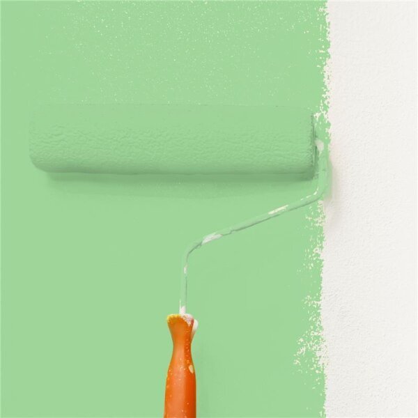 Wandfarbe Matt NCS-S-1040-G20Y WALLCOVER Colors