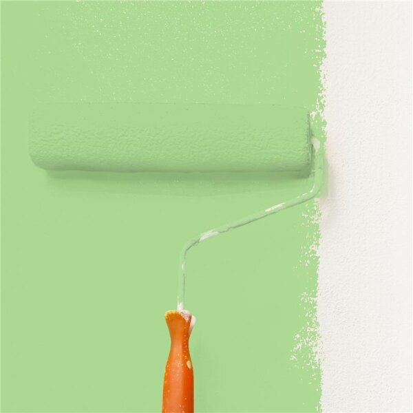 Wandfarbe Matt NCS-S-1040-G30Y WALLCOVER Colors