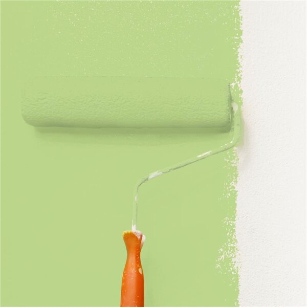 Wandfarbe Matt NCS-S-1040-G40Y WALLCOVER Colors