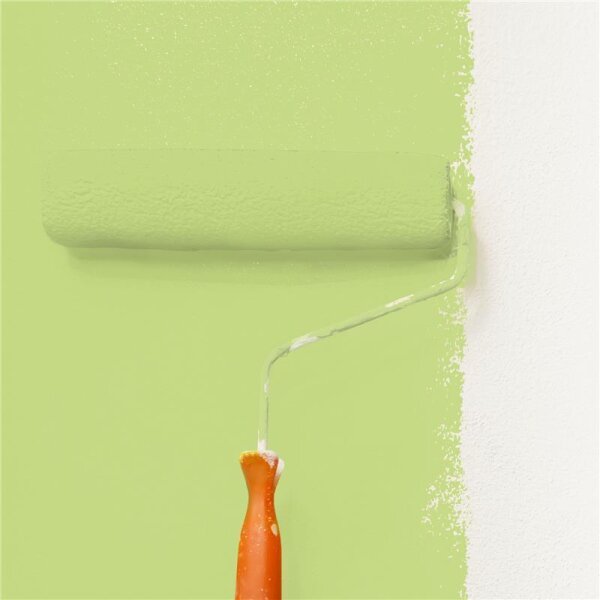 Wandfarbe Matt NCS-S-1040-G50Y WALLCOVER Colors