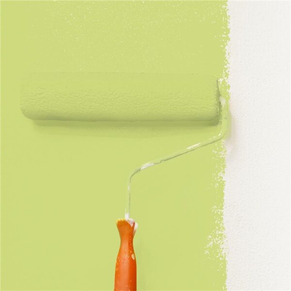 Wandfarbe Matt NCS-S-1040-G60Y WALLCOVER Colors