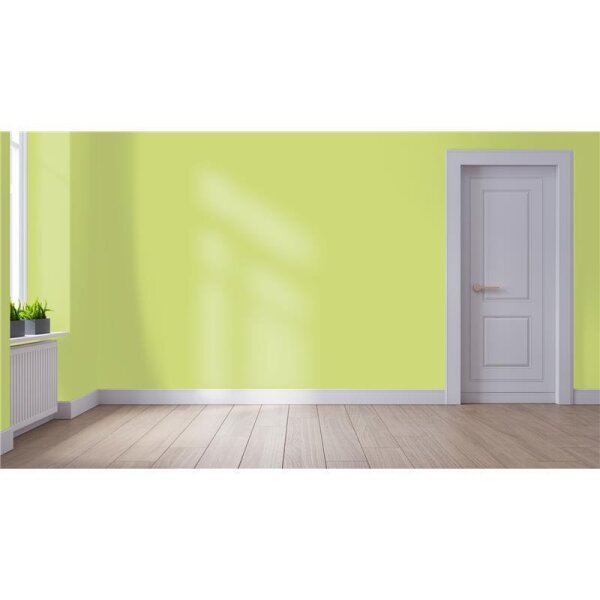 Wandfarbe Matt NCS-S-1040-G60Y WALLCOVER Colors