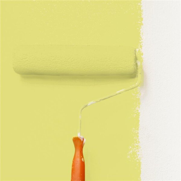 Wandfarbe Matt NCS-S-1040-G80Y WALLCOVER Colors