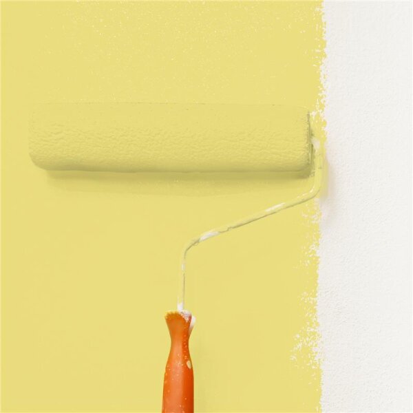 Wandfarbe Matt NCS-S-1040-G90Y WALLCOVER Colors