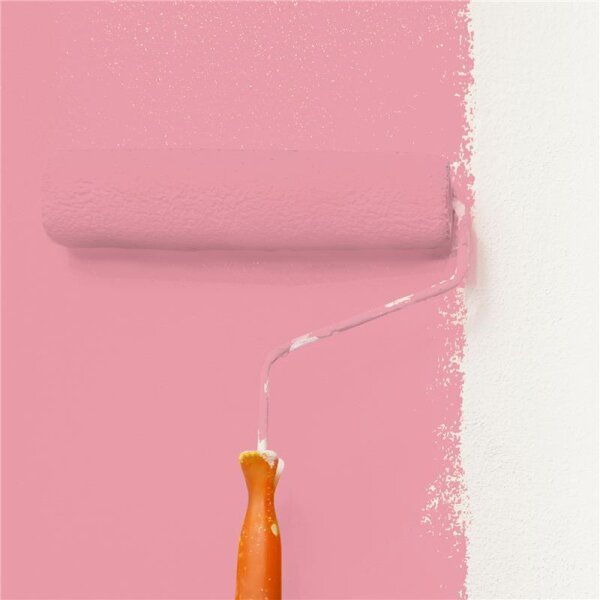 Wandfarbe Matt NCS-S-1040-R10B WALLCOVER Colors