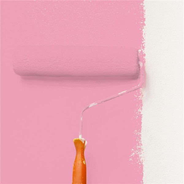 Wandfarbe Matt NCS-S-1040-R20B WALLCOVER Colors