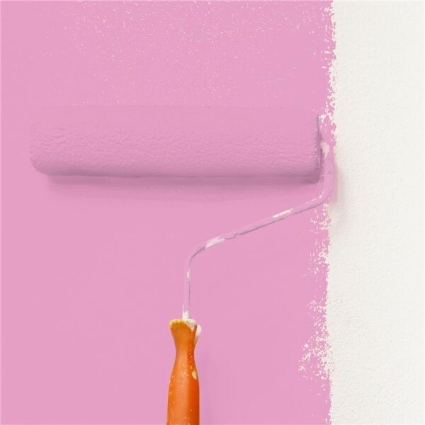 Wandfarbe Matt NCS-S-1040-R30B WALLCOVER Colors