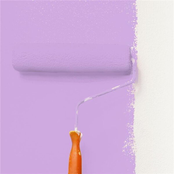 Wandfarbe Matt NCS-S-1040-R50B WALLCOVER Colors