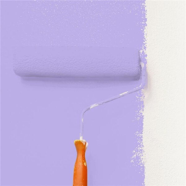 Wandfarbe Matt NCS-S-1040-R60B WALLCOVER Colors