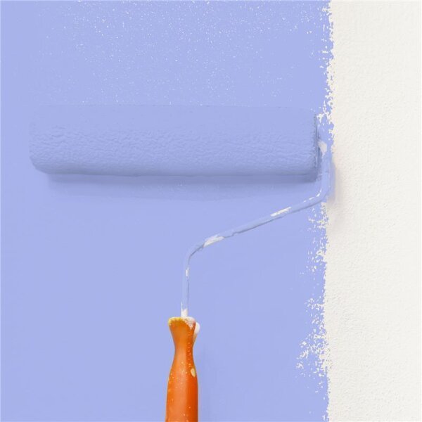 Wandfarbe Matt NCS-S-1040-R70B WALLCOVER Colors