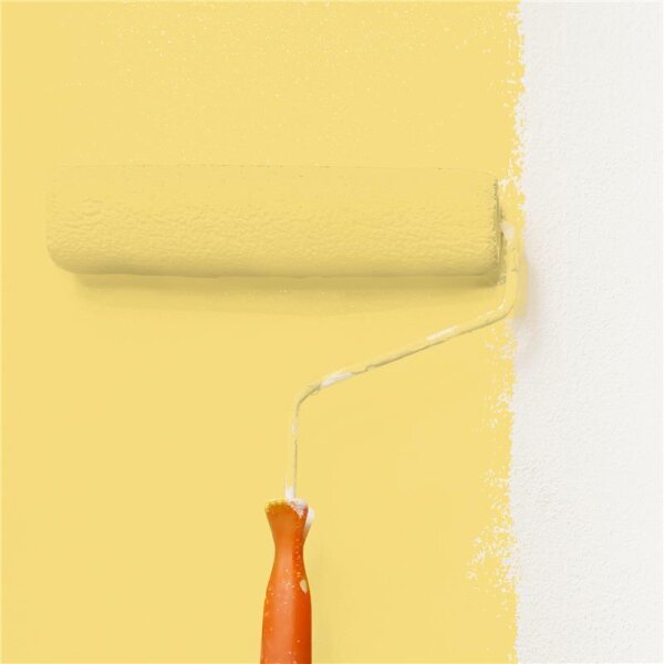 Wandfarbe Matt NCS-S-1040-Y WALLCOVER Colors