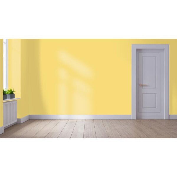 Wandfarbe Matt NCS-S-1040-Y WALLCOVER Colors
