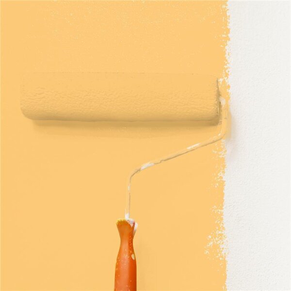 Wandfarbe Matt NCS-S-1040-Y20R WALLCOVER Colors