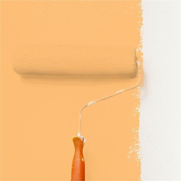 Wandfarbe Matt NCS-S-1040-Y30R WALLCOVER Colors