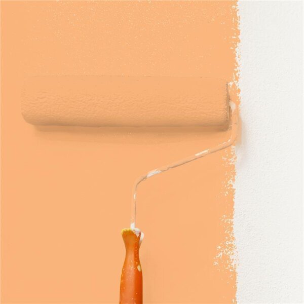 Wandfarbe Matt NCS-S-1040-Y40R WALLCOVER Colors