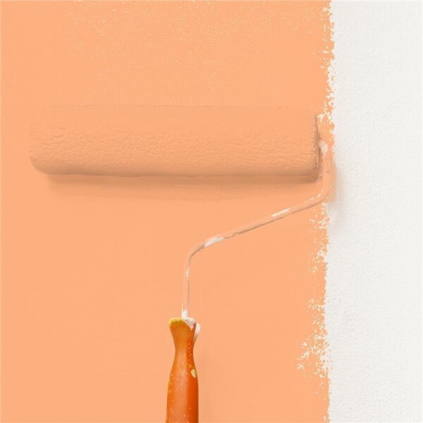 Wandfarbe Matt NCS-S-1040-Y50R WALLCOVER Colors