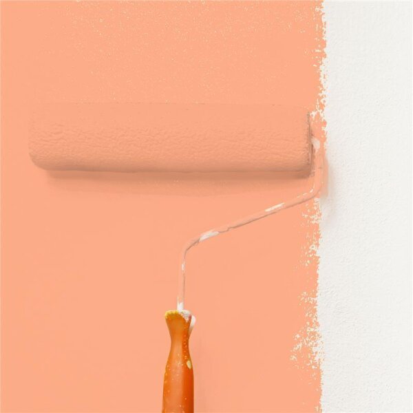 Wandfarbe Matt NCS-S-1040-Y60R WALLCOVER Colors