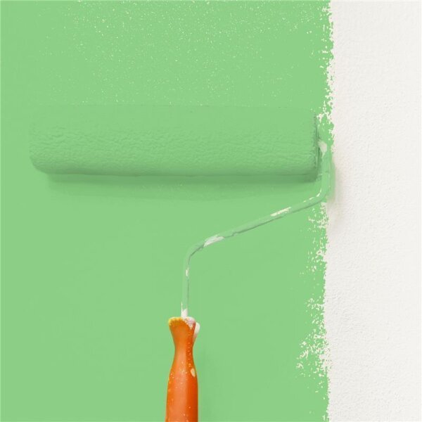 Wandfarbe Matt NCS-S-1050-G20Y WALLCOVER Colors