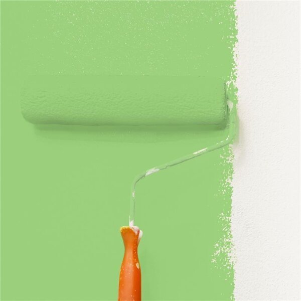 Wandfarbe Matt NCS-S-1050-G30Y WALLCOVER Colors