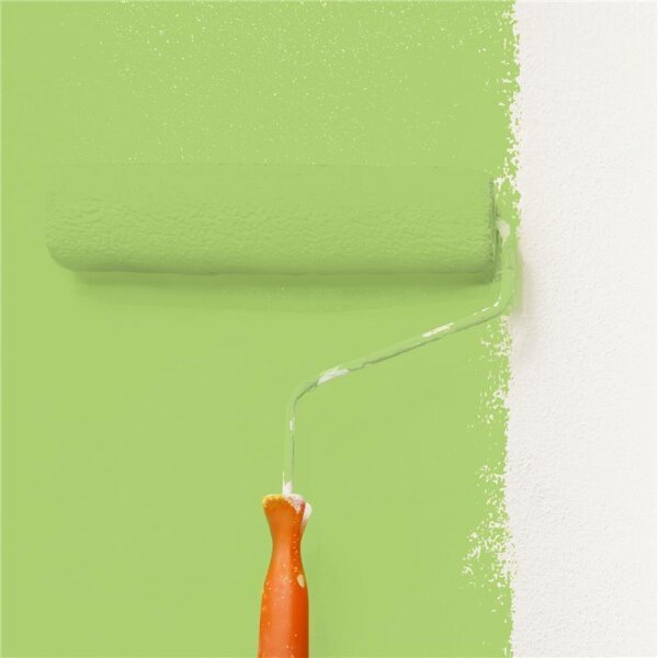 Wandfarbe Matt NCS-S-1050-G40Y WALLCOVER Colors