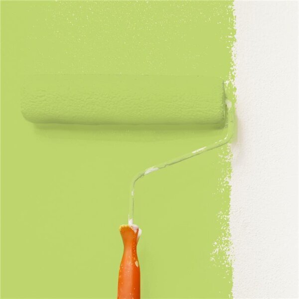 Wandfarbe Matt NCS-S-1050-G50Y WALLCOVER Colors