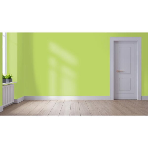 Wandfarbe Matt NCS-S-1050-G50Y WALLCOVER Colors