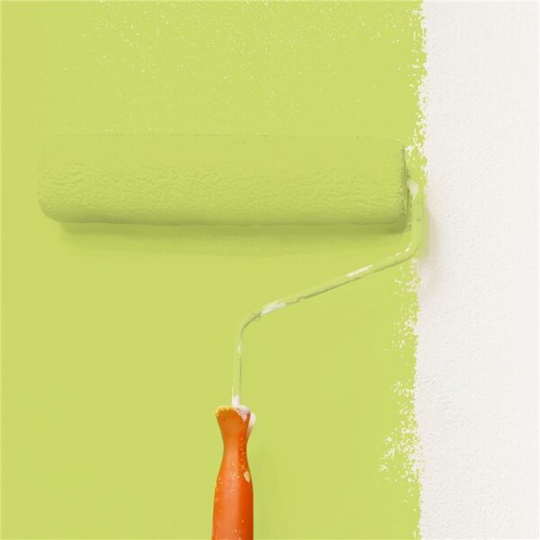 Wandfarbe Matt NCS-S-1050-G60Y WALLCOVER Colors
