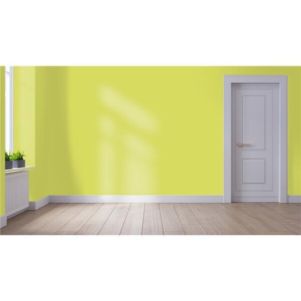 Wandfarbe Matt NCS-S-1050-G70Y WALLCOVER Colors