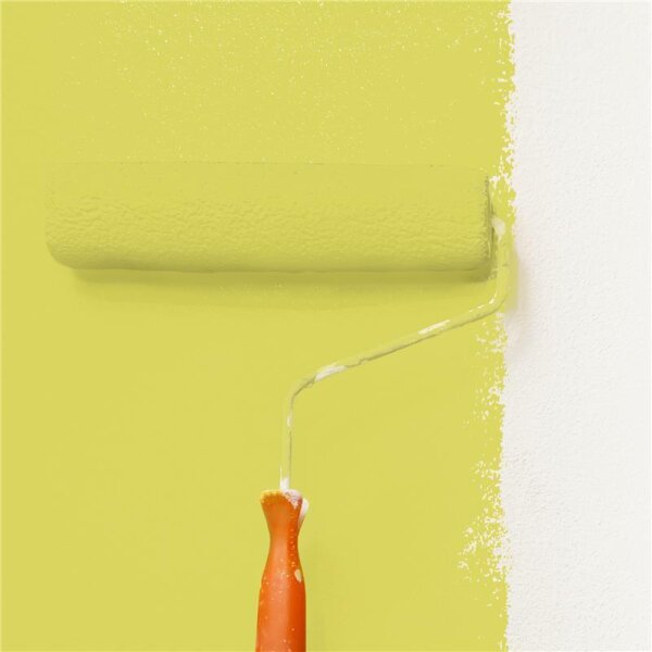 Wandfarbe Matt NCS-S-1050-G80Y WALLCOVER Colors